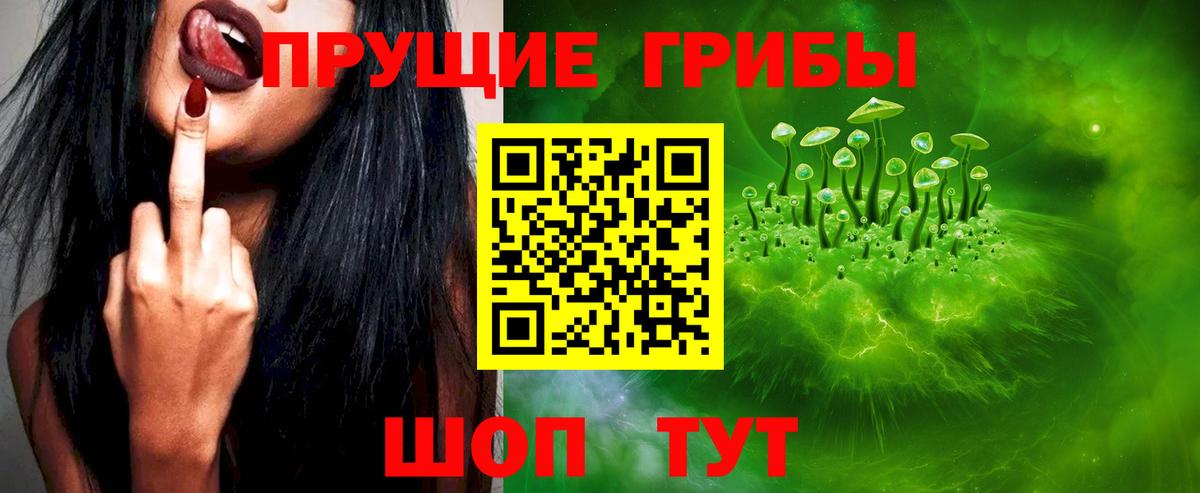 Ставрополь  Псилоцибиновые грибы Psilocybine cubensis  Вход с VPN 